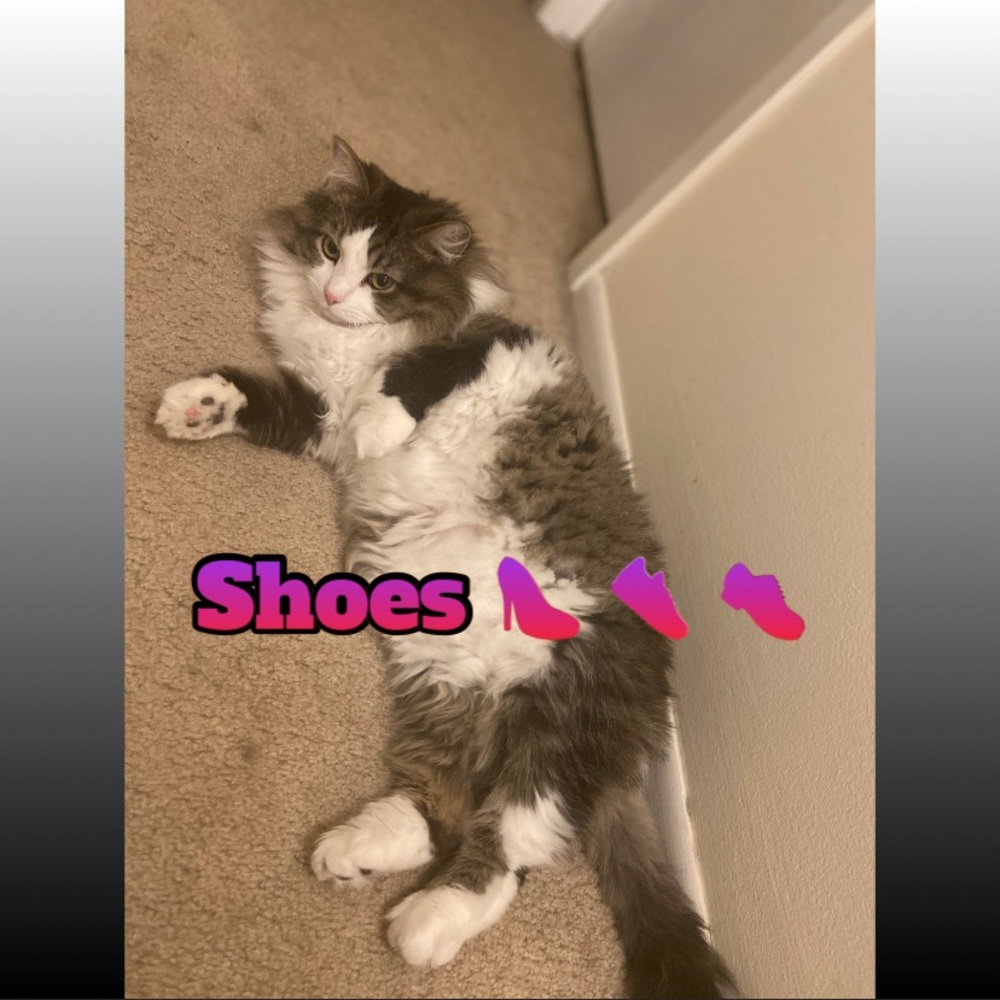 Shoes!!